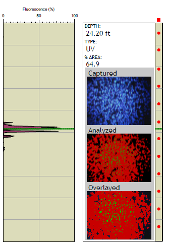 OIP Fluorescence Log with Depth Specific Image and Software Image Analysis