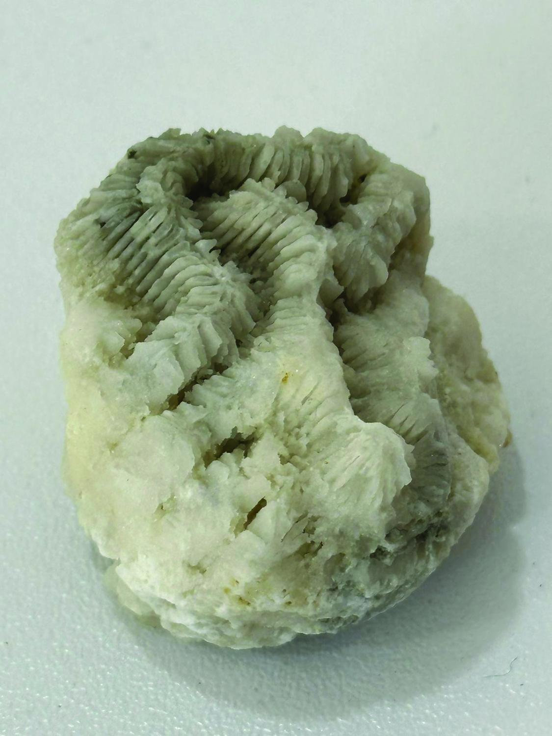 Figure 1: A piece of carbonate recovered from a DT22 soil sample during an exploratory sampling location to understand the lithological challenges.