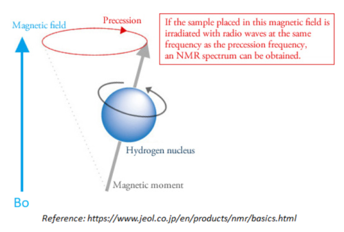 Hydrogen nuclei response to magnetic field induction