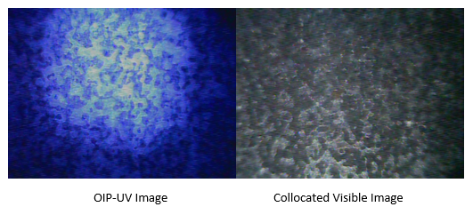 Collocated UV and Visible Still Images